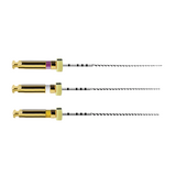 Pack de 6 limes PathFile 31 mm - Dentsply Sirona - oofti.fr