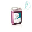 DENTASEPT aspiration AF+ Disinfection of suction systems 5 L canister -ANIOS