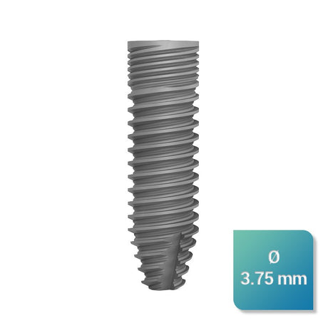 Safe Regular 3,75 mm de diamètre - oofti.fr