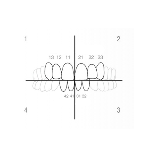 Matrices transparentes CoForm - DIRECTA