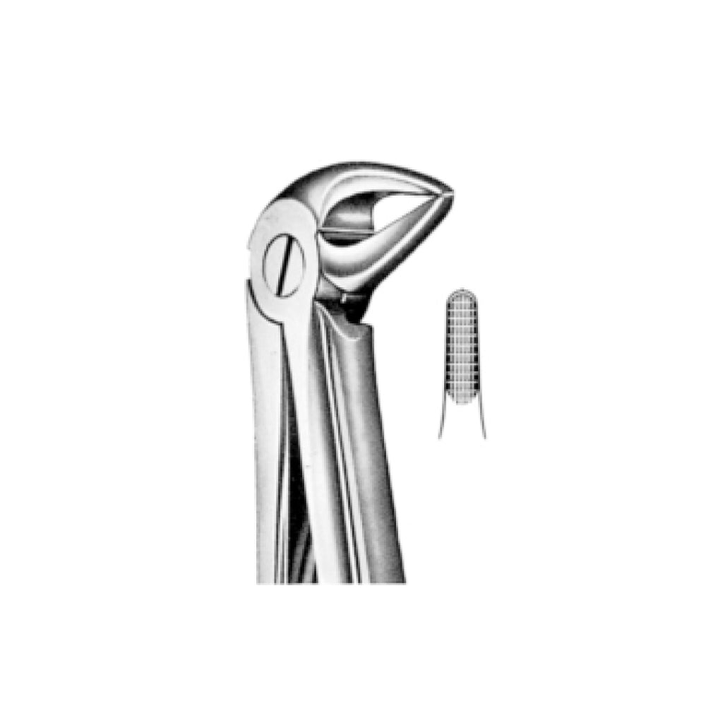 Davier racines inférieures f.33