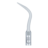 Insert PD4 compatible Satelec - WOODPECKER - oofti.fr