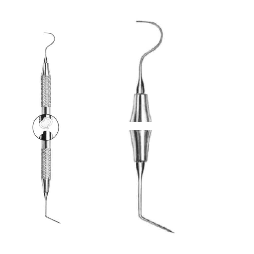 Double sonde parodontale